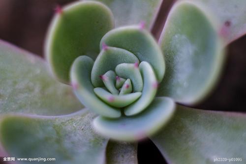 鲿1.97ԪοѵԱϵԱϸɲ