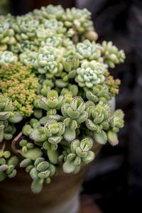 س̨仧ͷʲôźţ