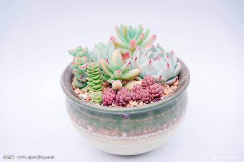 ֱΪʯҵ 㶫Ļᡰ˷硱ת